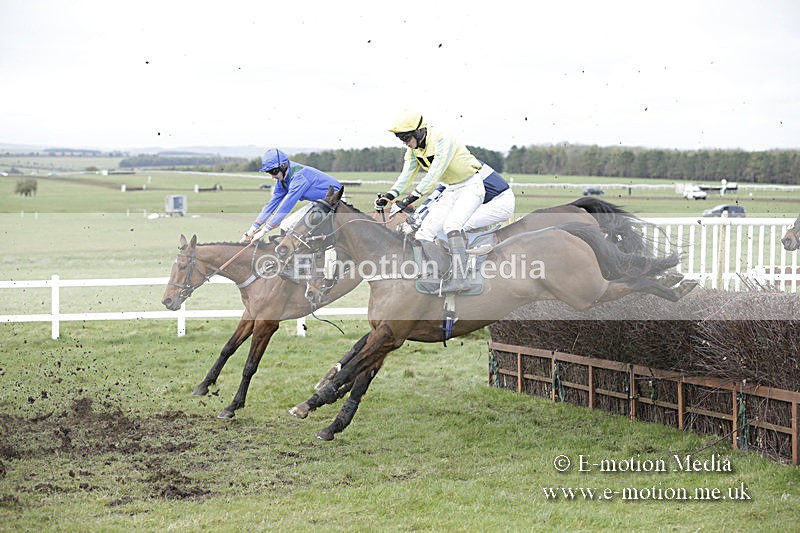 PtP 150320 0680 - New Forest Point-to-Point Larkhill 15/03/20