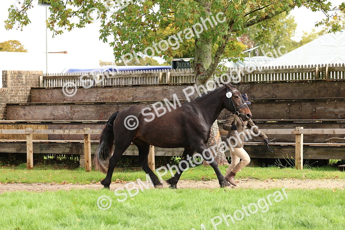 SBM_40739 - S25 -  Veteran In Hand