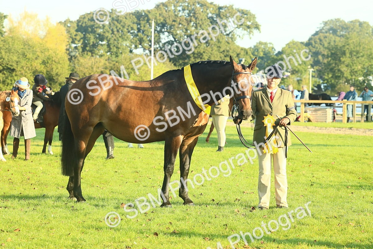SBM_56747 - S36 - Starters Best Turnout