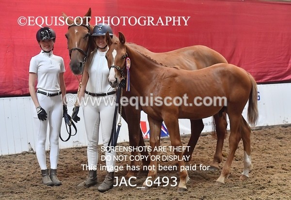 JAC_6493 - 19 Luca