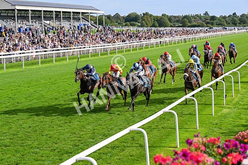 060926-Race 6-Power Fizz-0390 - Race 6 4.25pm Eboracum Security Handicap