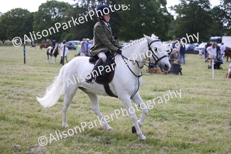 20260614-0670 - Class 20 - Beginners Working Hunter Pony