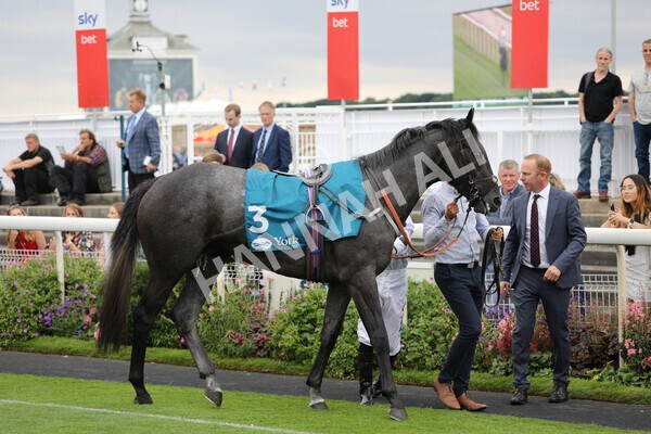 yr23072022r7-3 - Race 7 5.35pm Sky Bet Paying Extra Places Stakes