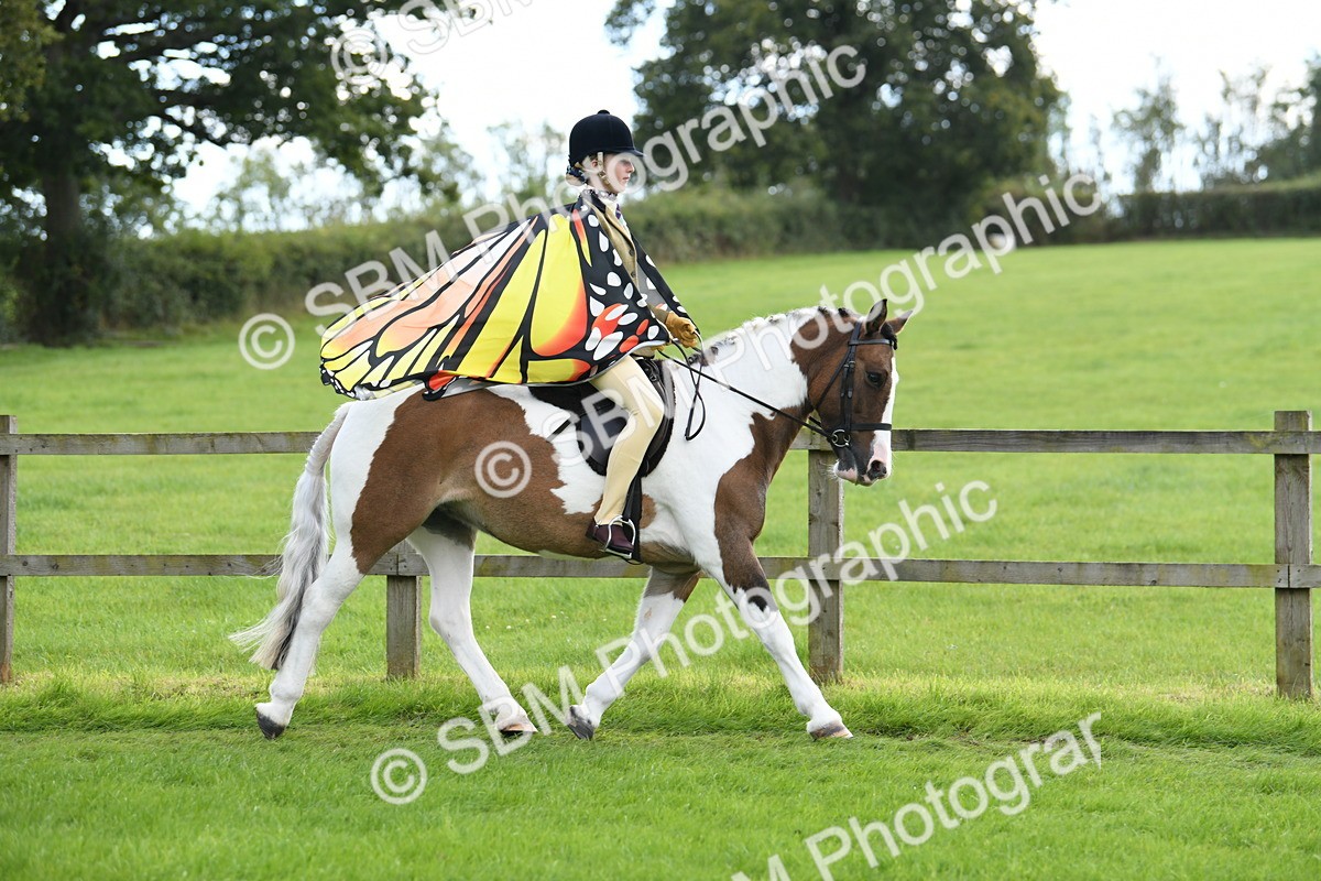 SBM_46742 - S12 - Family Horse & Pony