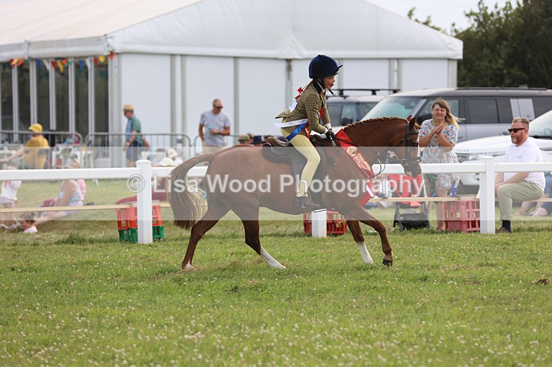 JPP_4821 - Working Hunter Championship
