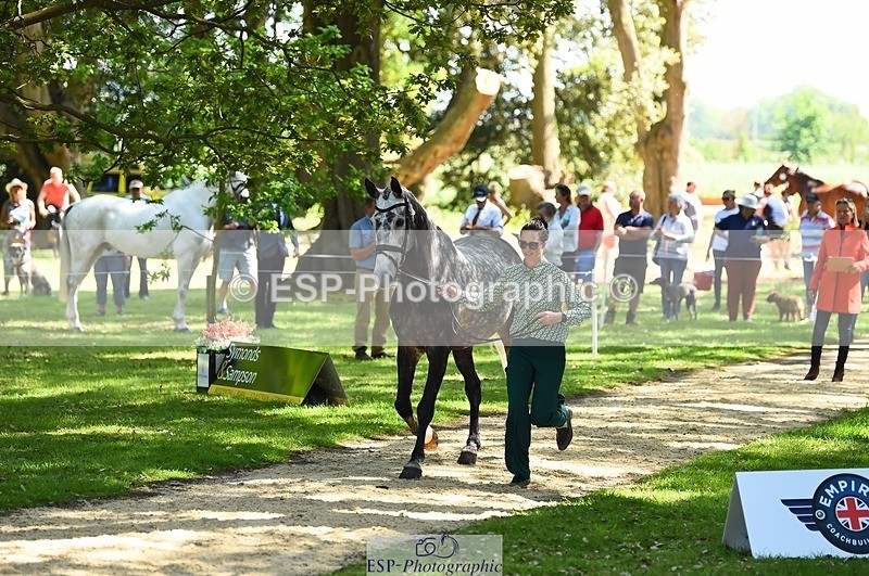 230524-151234-00127 - 311-BALLYCOSKERRY_REGAL_DIAMOND-Hollie_Swain-WEDTrotUp+DR