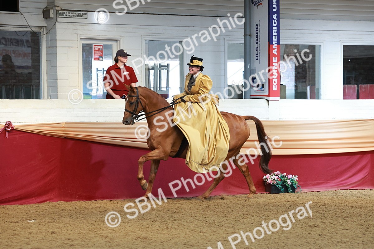 SBM_13559 - Class 105 - Ridden Costume - Side Saddle