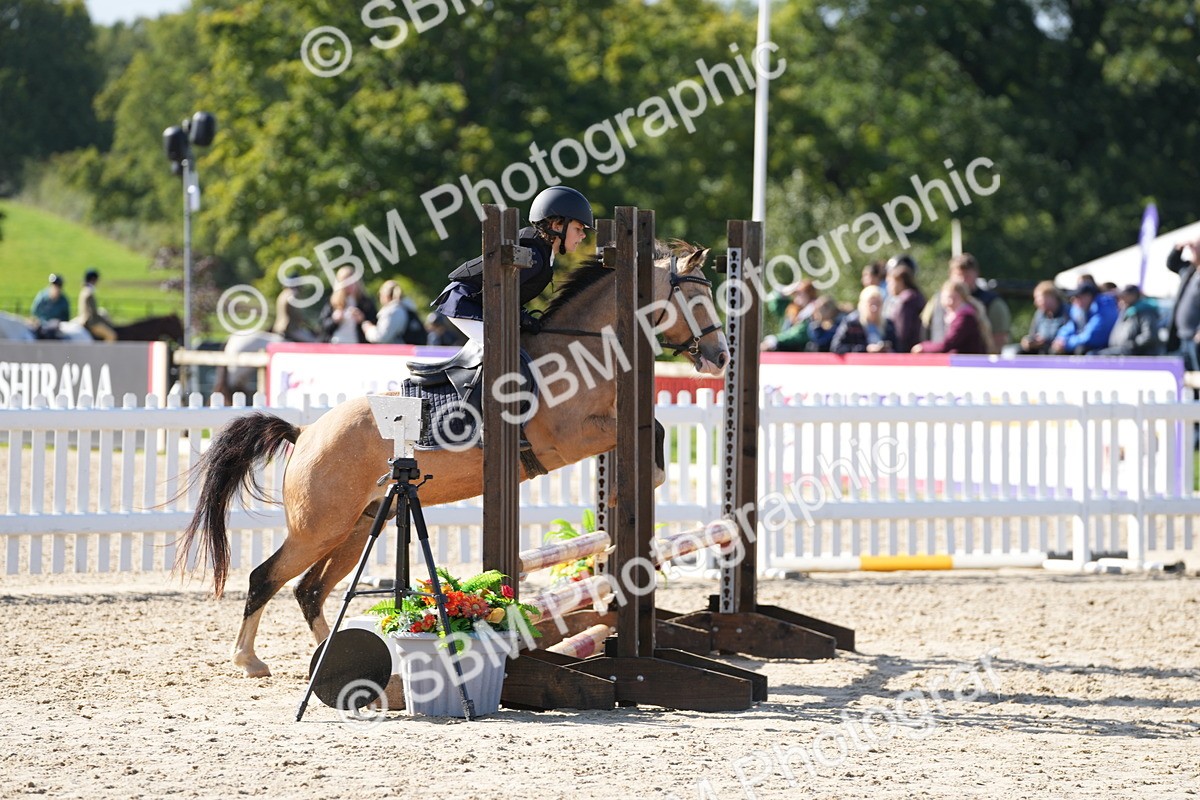 SBM_38368 - J6 - Junior Pony 55cm Championship