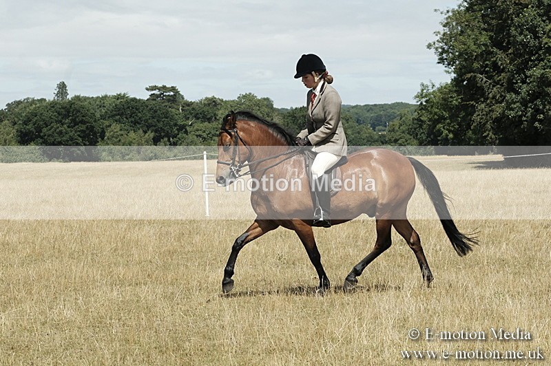 _PJP5983 - BVRC Show 2018 Ring 1