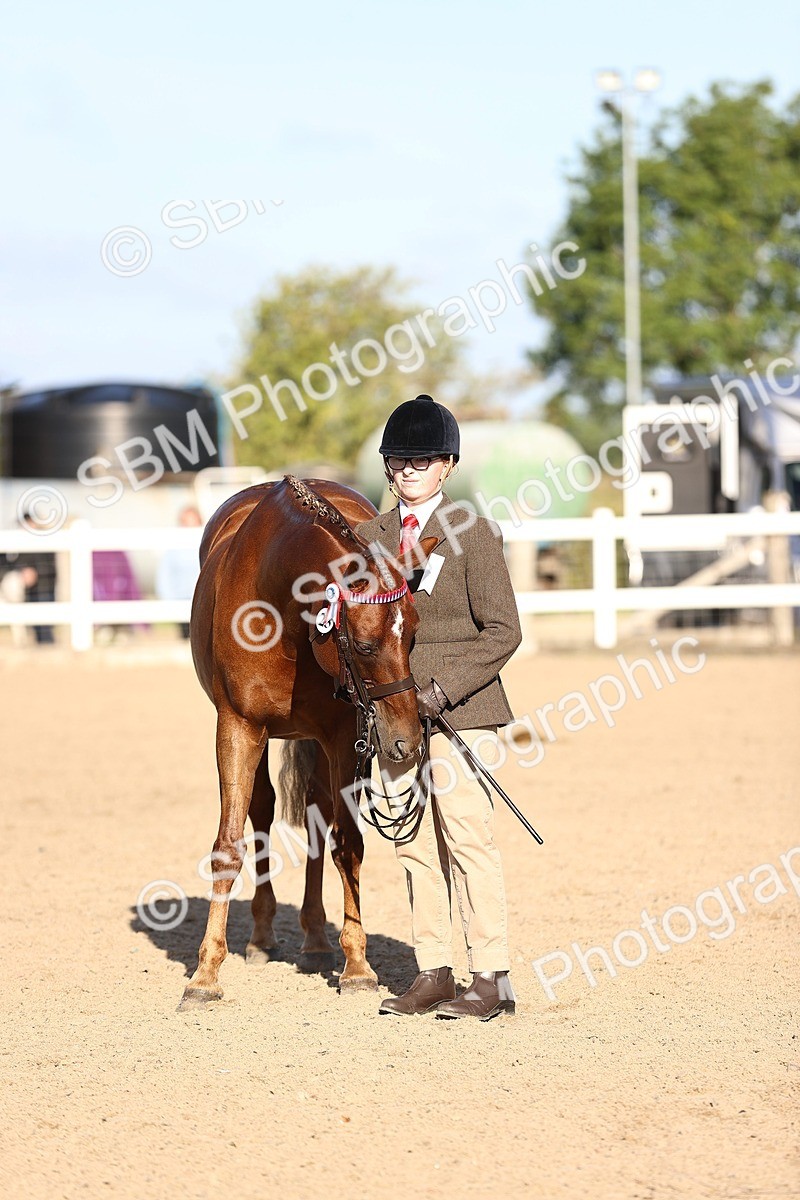 SBM_08471 - Class 402 - IH Veteran Pony