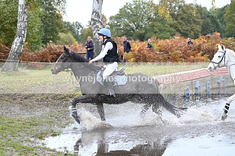WJ7_2271 - 80cm Cam 2 Pairs Time 12:18 to 12:43