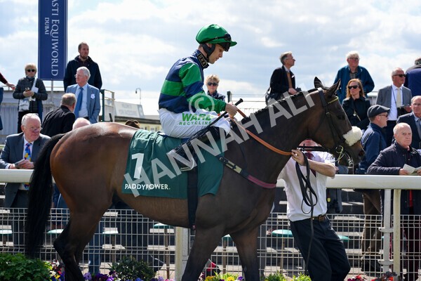 yr12052022r3-7 - Race 3 3.00pm The Paddy Power Hambleton Stakes