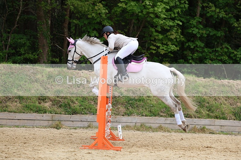 3E7A6269 - Class 4: Senior British Novice/90cm open