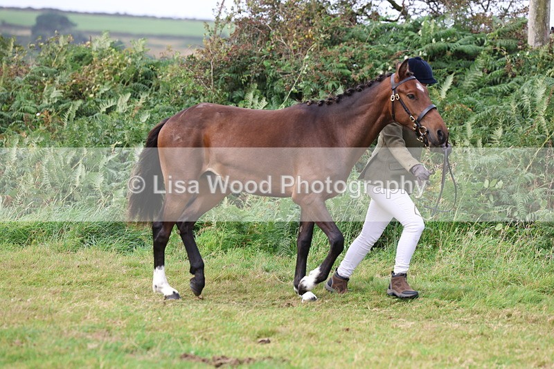 3E7A4084 - Class 15: Two Year Olds