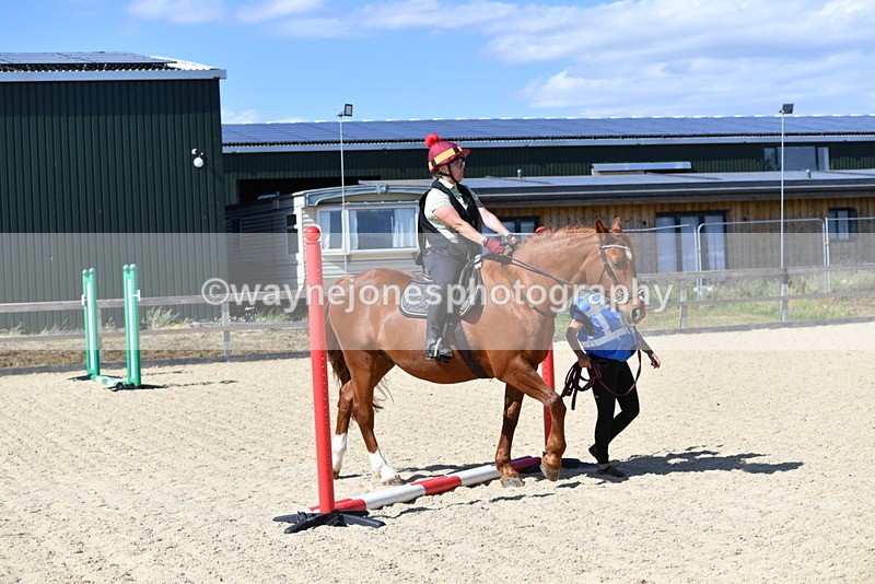 WJ5_4917 - Poles on the Floor