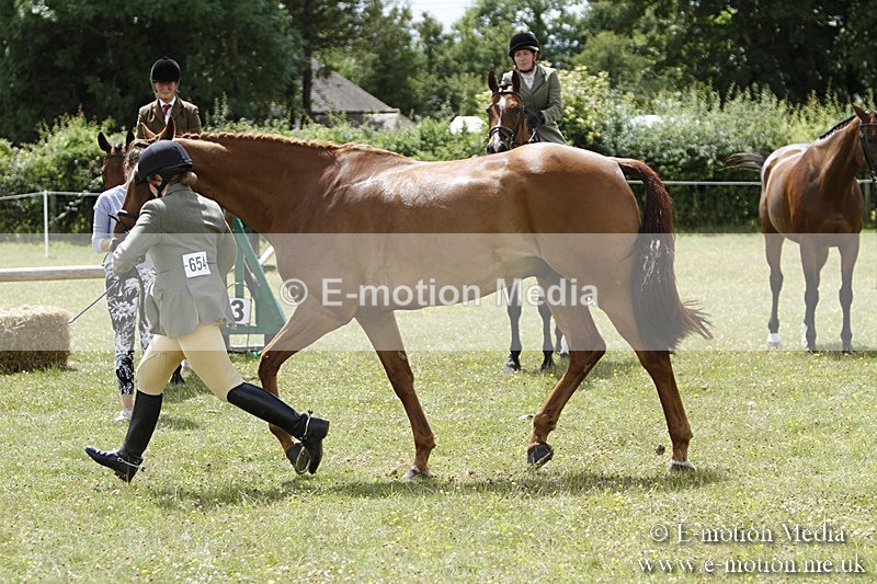 BVR160717-1860 - Ring 3 BVRC Show 16/07/17