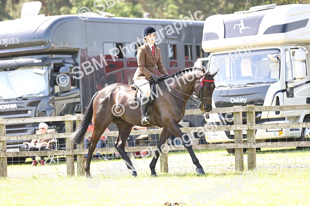 SBM_14818 - Class 78 - LIHS BSHA Open Racehorse & Show Horse