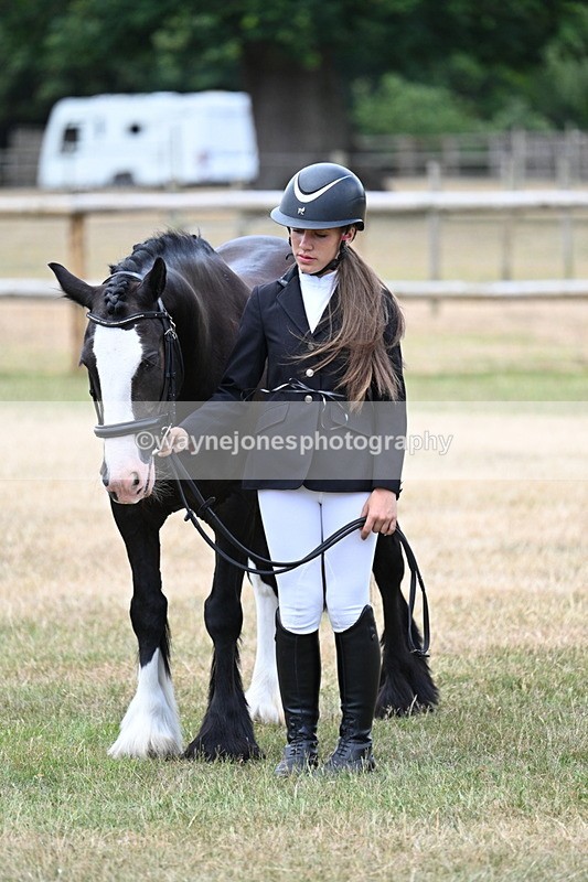 WJ7_1504 - Class 4 Prettiest Mare up to 14.2hh in hand