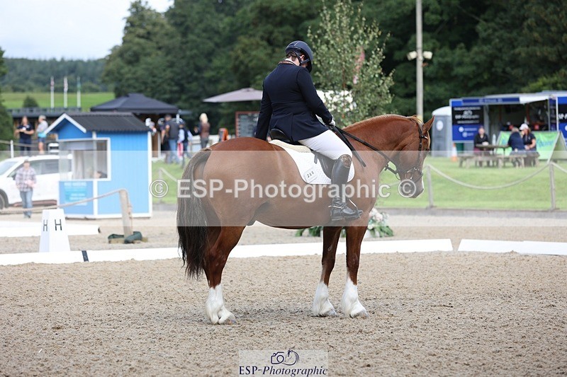 230813-095403-06174 - Cls 11 Elem Bronze Start to 10.50 break