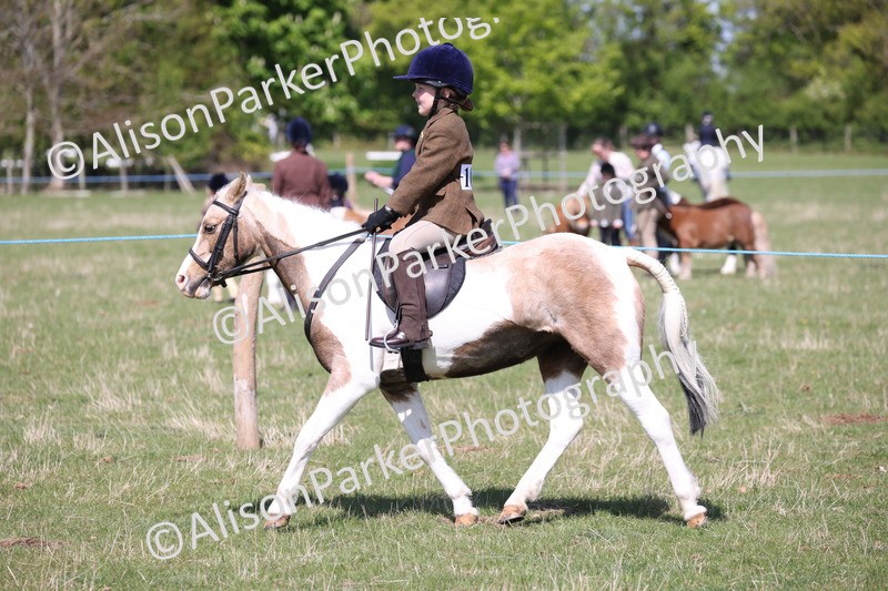 20250427-3198 - Class 33 - Best Pony 14.2hh and Under