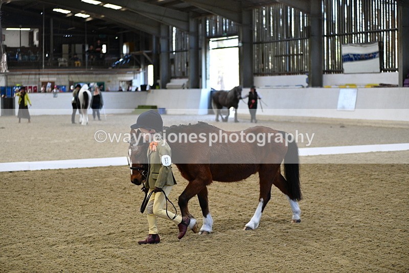 WJ5_3730 - Class 5 In Hand Veterans