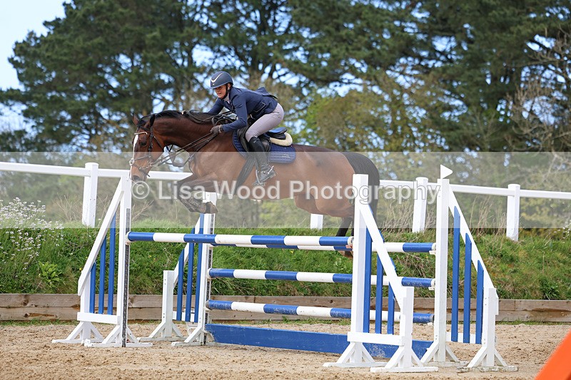 3E7A2140 - Class 8: Senior Foxhunter/1.20 open