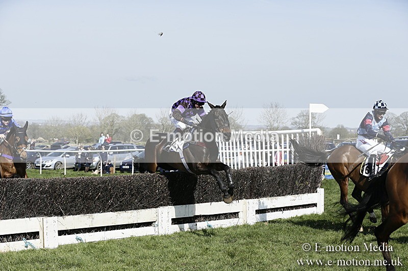 PtP 260317 217 - Mendip Farmers Point-to-Point Ston Easton 26/03/17