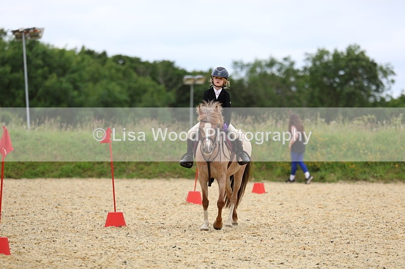 3E7A9430 - Walk trot run