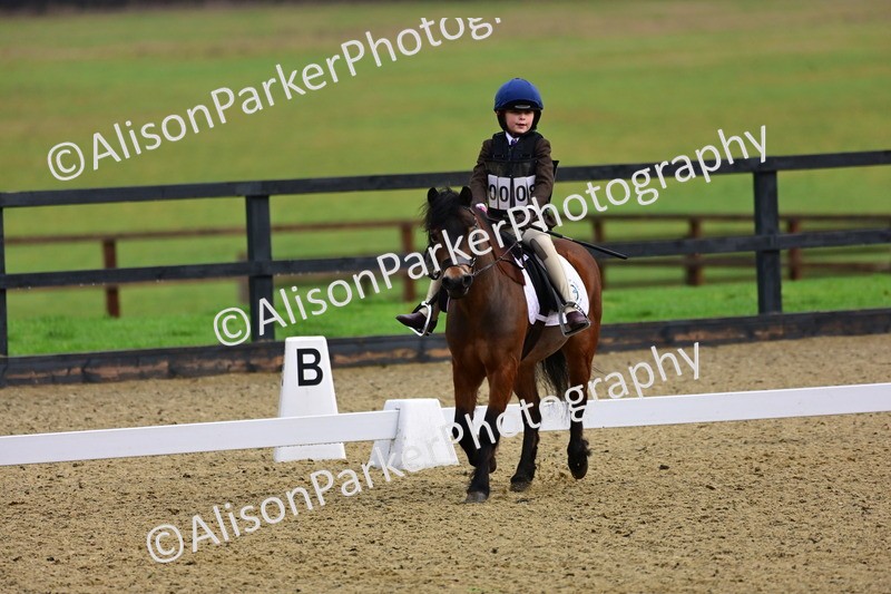 20260125-0505 - Class 9b - Walk Trot Unassisted