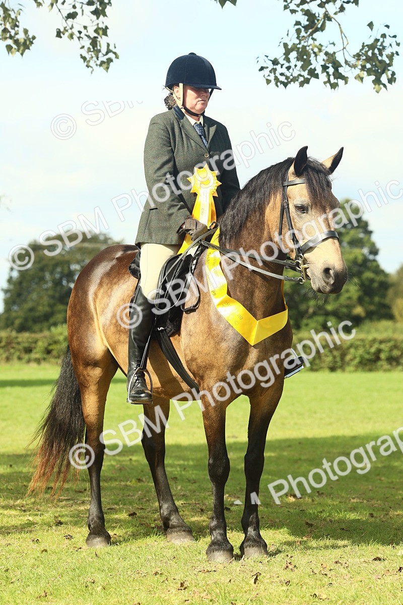 SBM_62705 - S63 - Other Coloured Horse Ridden