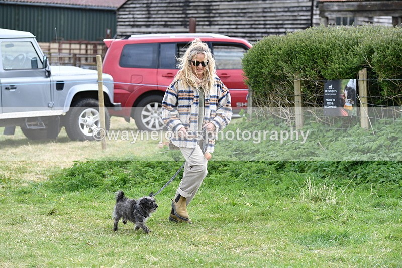 WJ5_9211 - Class 1 Best Cross Breed / Heniz 57