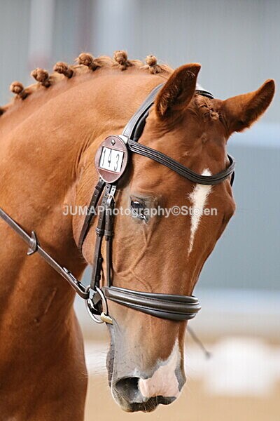 SIAL8903 - GDG Bogenraith Friday 26th Sept 2025