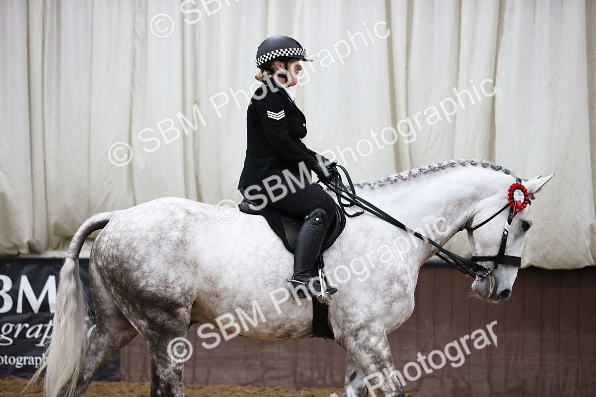 SBM_6324 - Class 17 - IDHSG Challenge Pure Breed