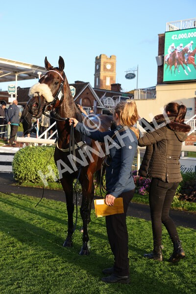 yr07102022r7-69 - Race 7 5.35pm IRE Incentive, It Pays To Buy Irish Stakes