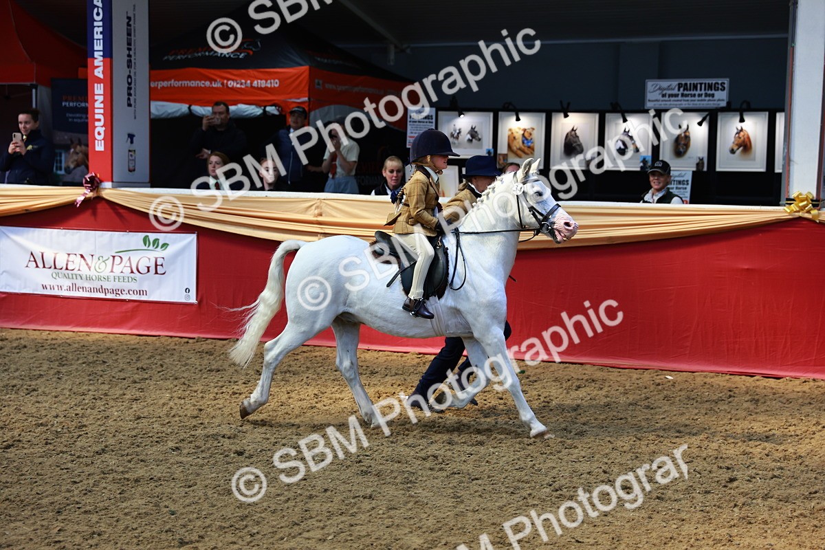 SBM_12809 - HOYS Veteran Qualifier - Ridden Champ