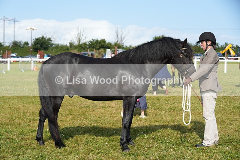 DSC04997 - Class 48: NPS M&M 2/3 year olds