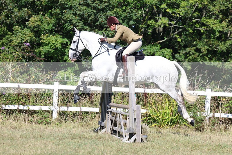 3E7A5855 - Class 5: Working Hunter 90cm