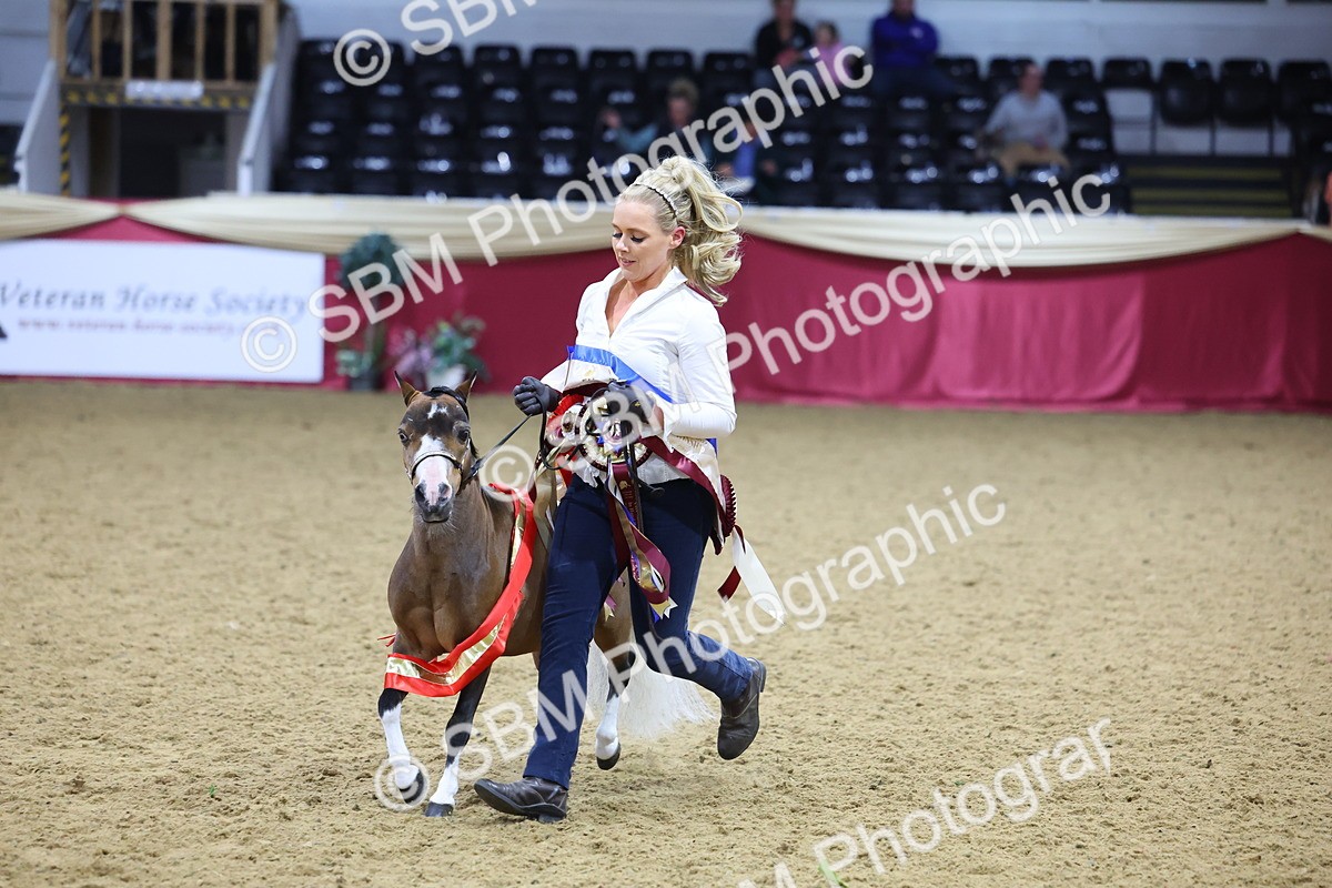 SBM_18747 - Class D IH Pony Champ