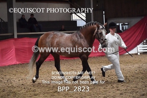 BPP_2823 - LOOSE JUMPING / SPSS