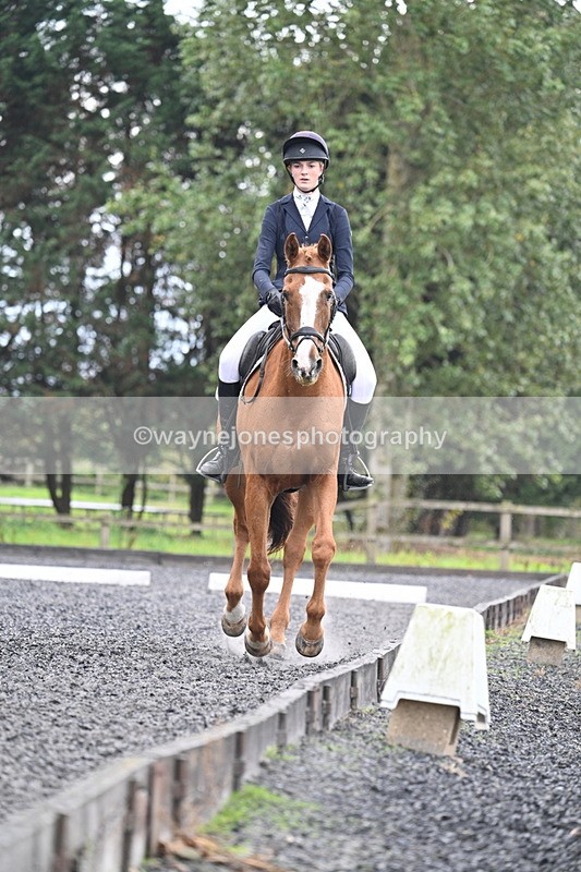 WJ7_6684 - Time 14:49 to 15:14