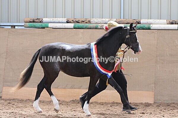 SIAL0440 - Indoor Classes