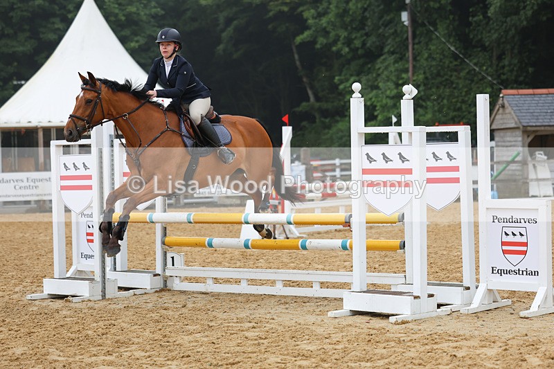 3E7A5331 - Class 4: Senior British Novice/90cm open