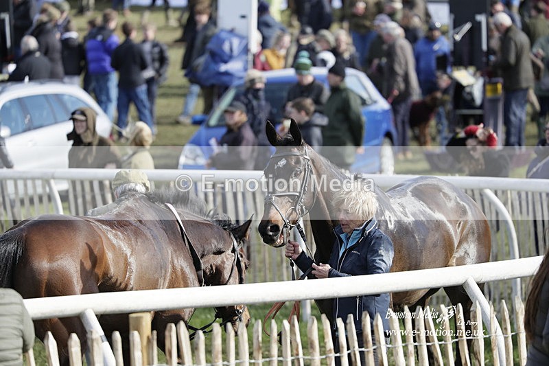 PtP 100423 928 - Old Berkshire Point-to-Point Lockinge 10/04/23