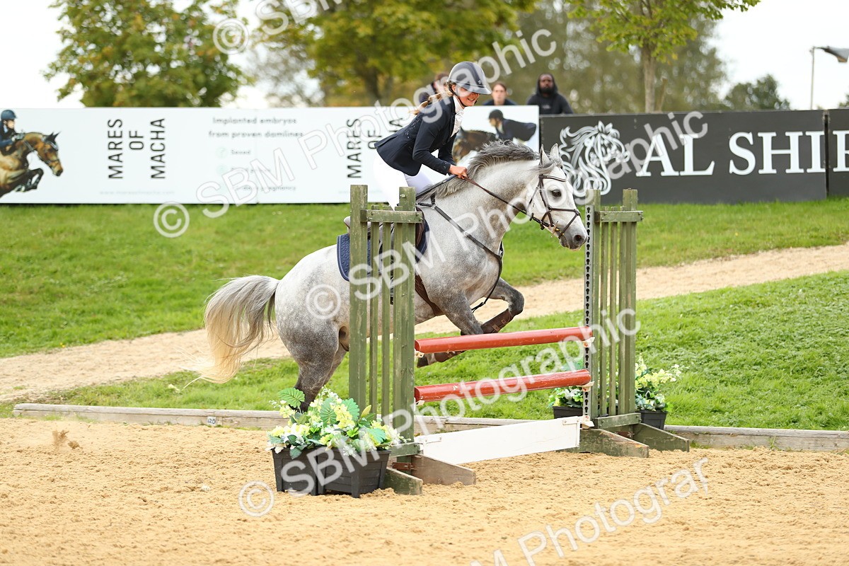 SBM_76090 - J19 - Junior 90cm Supreme Championship