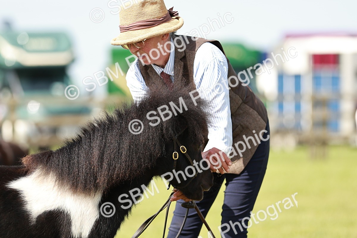 SBM_01918 - Class 14-23 - Mountain & Moorland In Hand Non Welsh