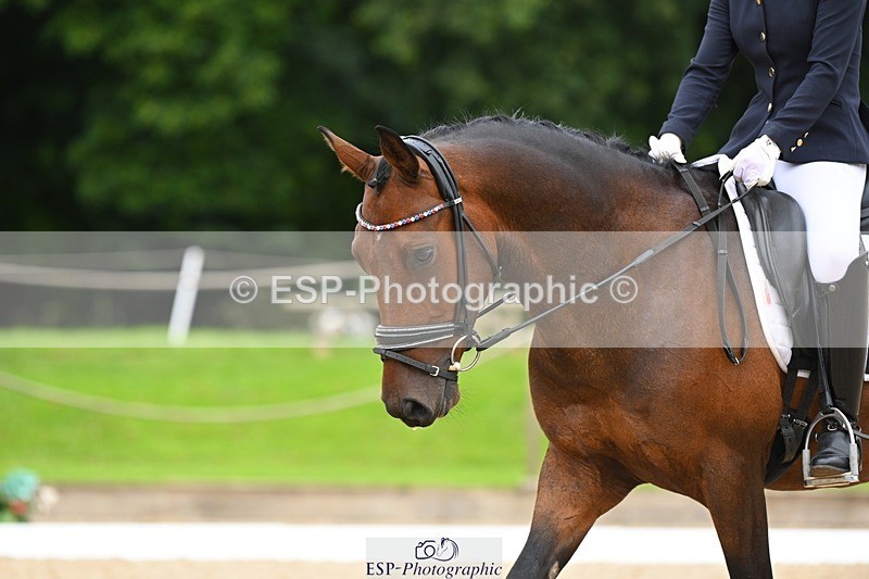 230813-103941-06384 - Cls 12 Elem Silver 10.35 to End