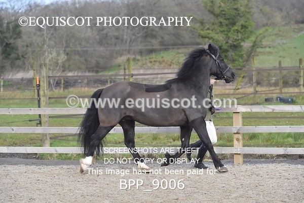 BPP_9006 - RING 2 - M&M