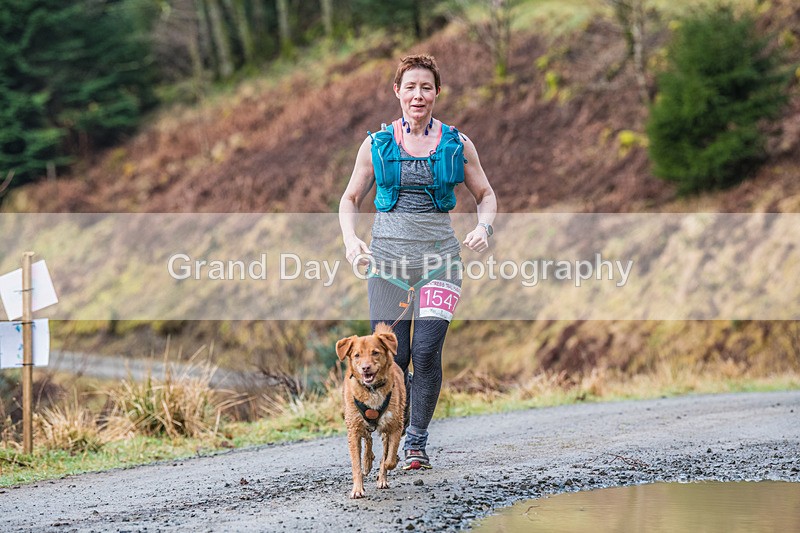 Glentress-325 - High Terrain Events Glentress Marathon 21 & 10K Trail Races Sunday 18th February 2024