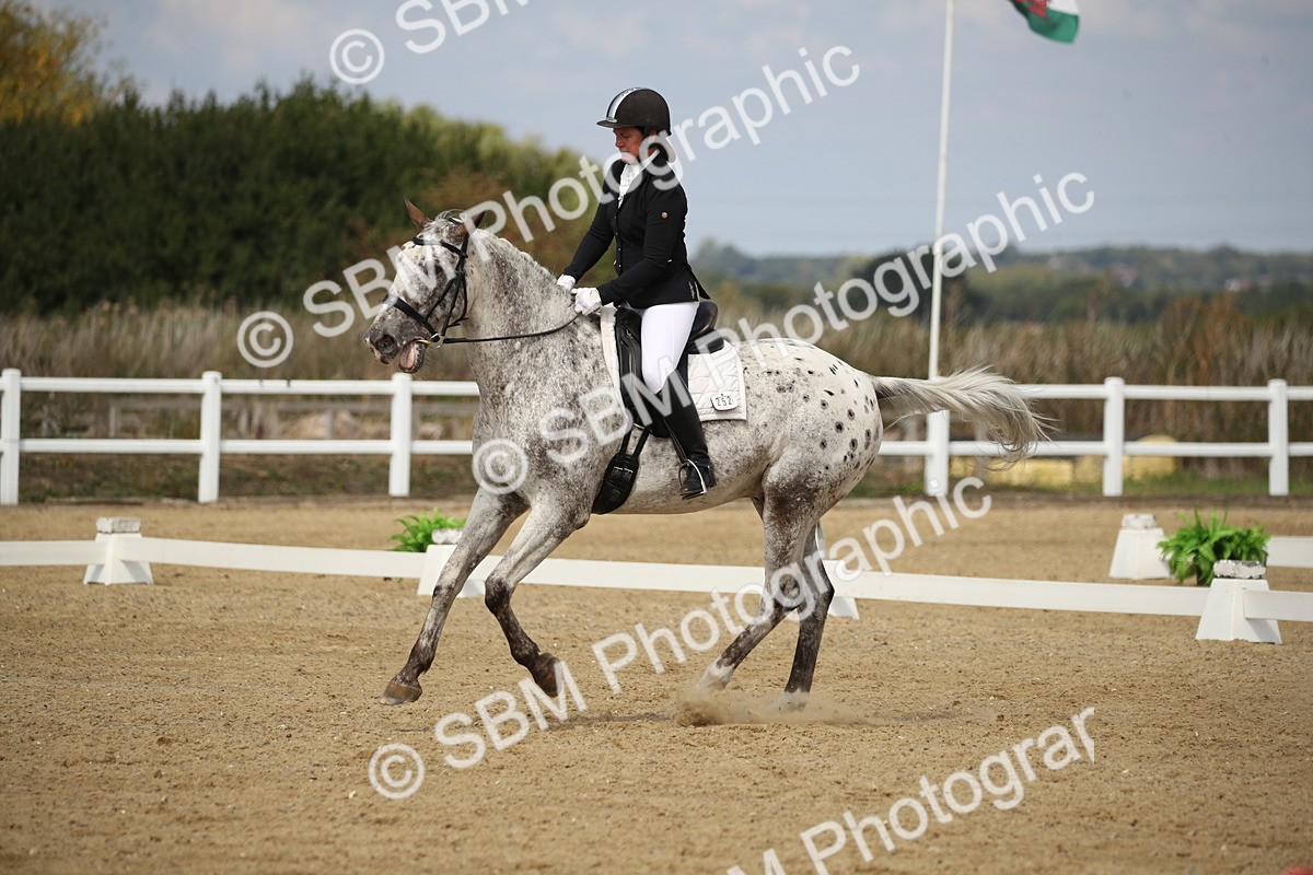 SBM_001409 - Class 2 - Pelim 5 - 11.36.12.32