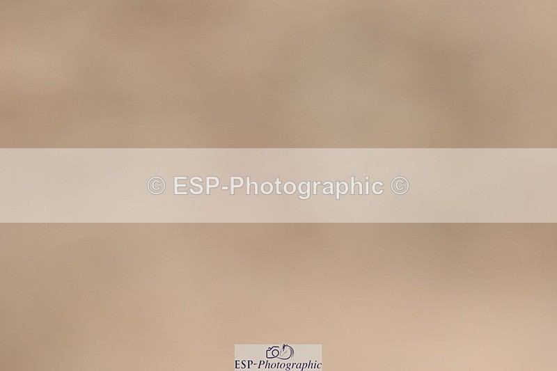 250622-114649-15077 - Cls 47 Novice 5, 11.30am to End